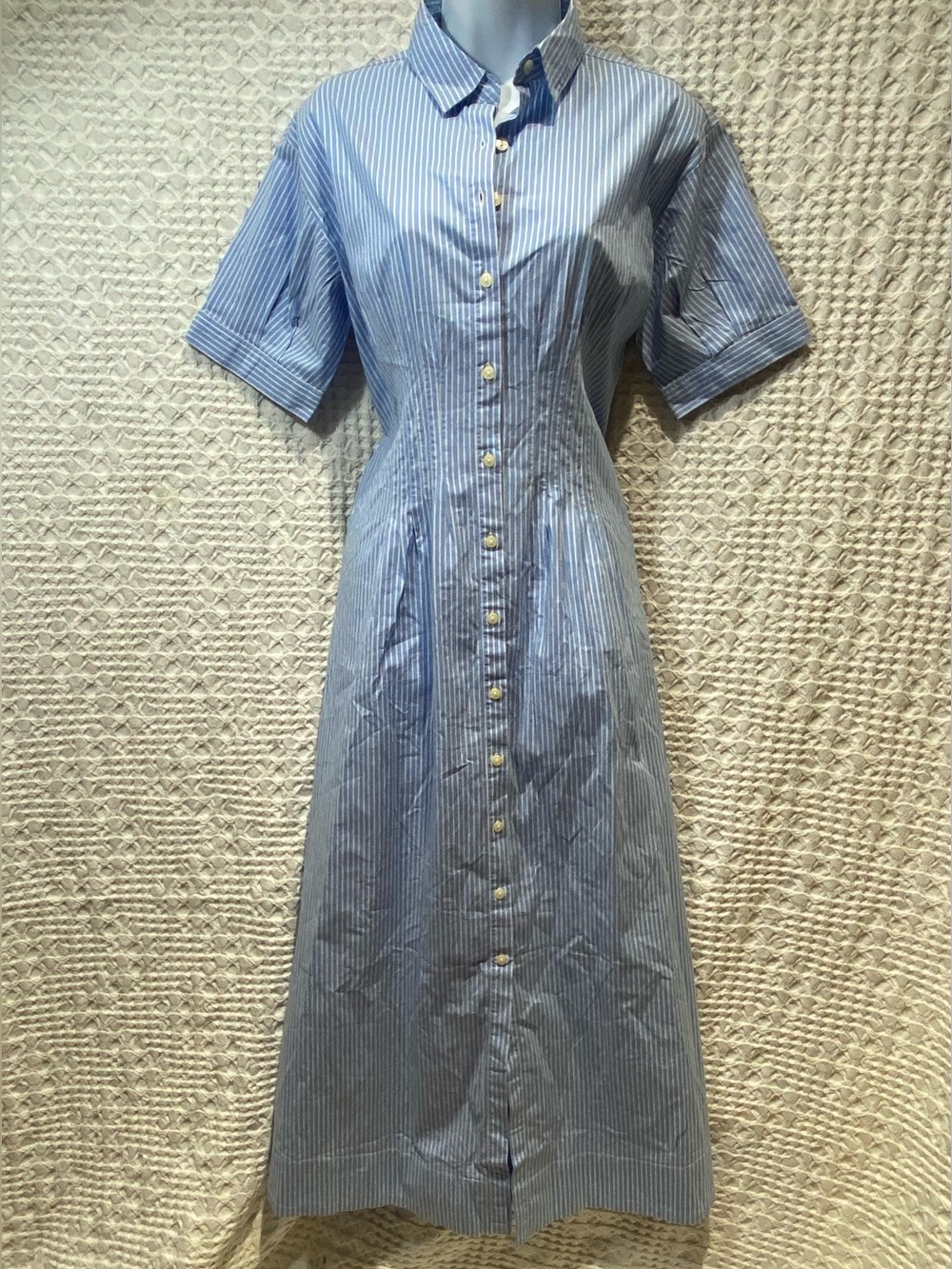 Classic Blue Stripe Button-Front Shirt Dress - Picture 3 of 6